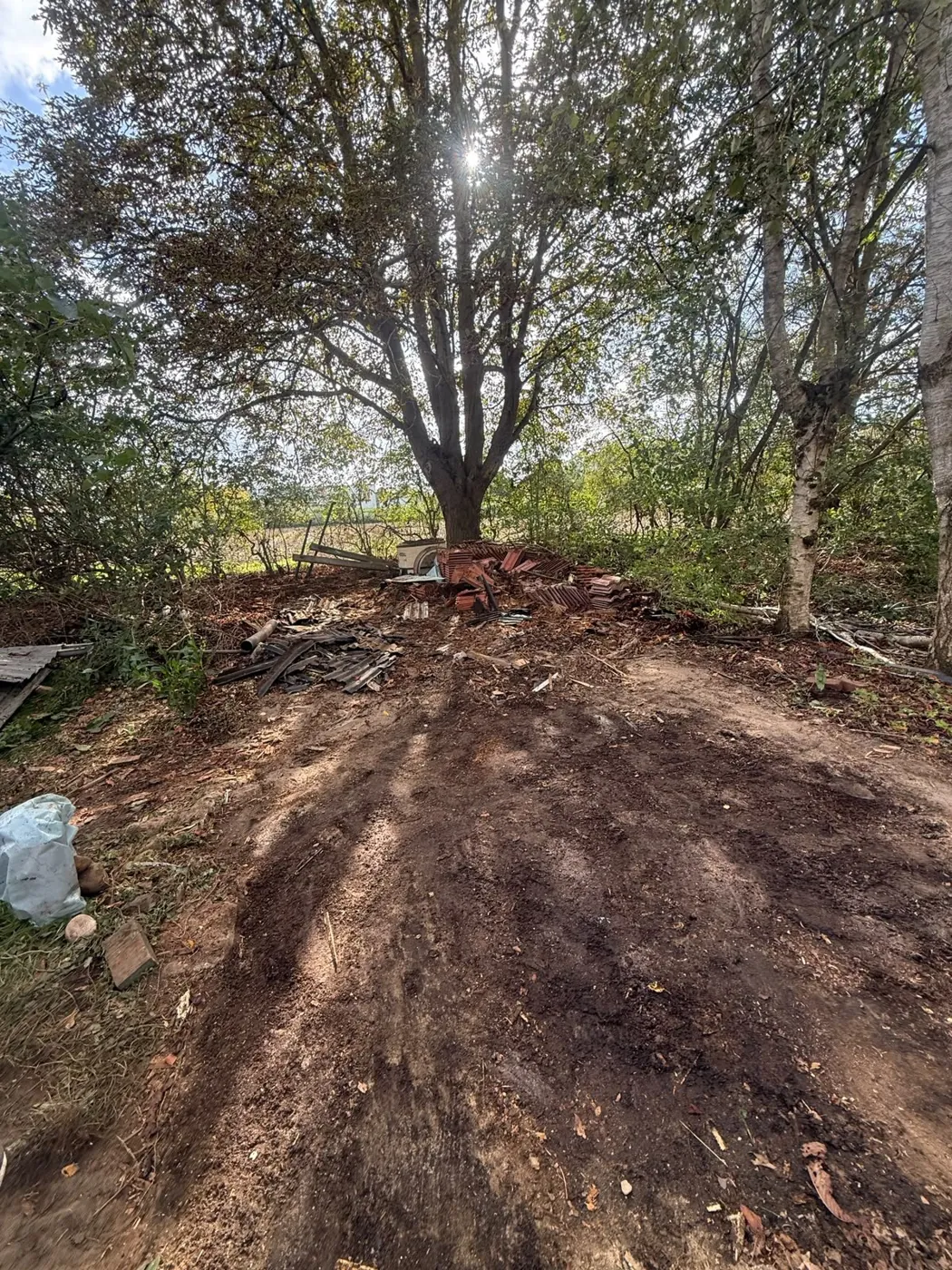 Freie Wiese mit Obstbaum nach der Gartenräumung